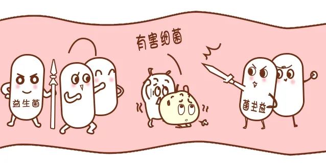 胃癌元兇幽門螺桿菌，益生菌竟是根除它的好幫手