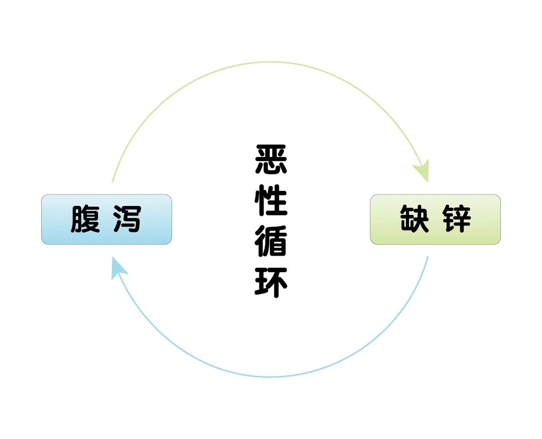 寶寶腹瀉期間，為什么要補鋅？